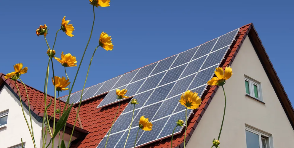 Zonnepanelen