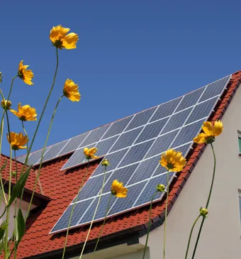 Zonnepanelen