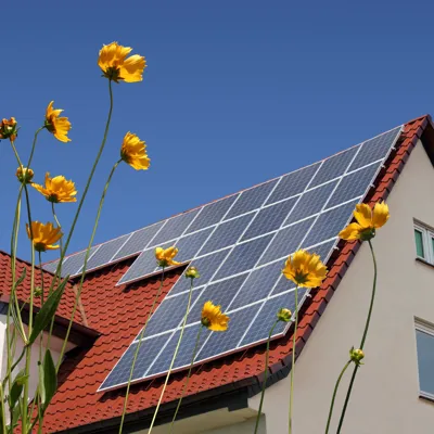 Zonnepanelen