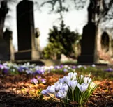 Pexels Pixabay 161280