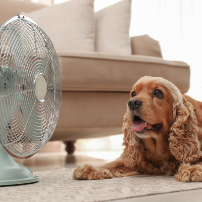 Istock 1388138409